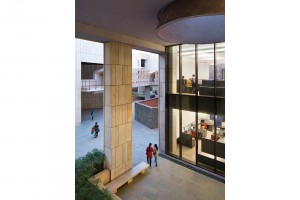 Tata Consultancy Services, Banyan Park, Tod Williams Billie Tsien Architects | Partners