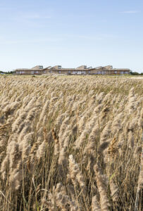 Jones Beach Energy and Nature Center | nArchitects | 2321 | Long Island, NY